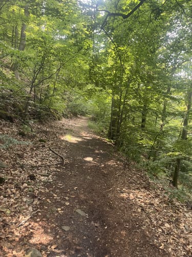 Ringelsberg-Route