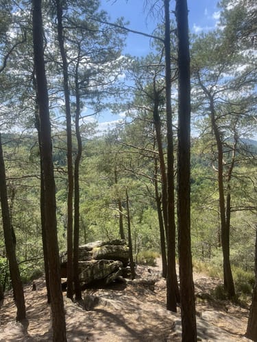Kupferbergfelsen Altleininger Tal