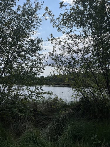 Durchs Venner Moor und am Dortmund-Ems-Kanal