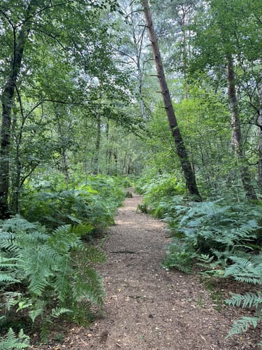 Durchs Venner Moor und am Dortmund-Ems-Kanal