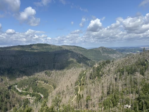 Okertal und  Feigenbaumklippe