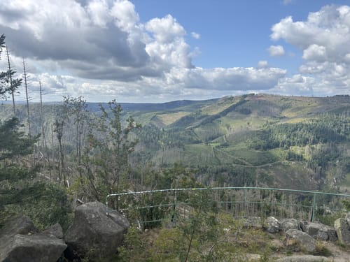 Okertal und  Feigenbaumklippe