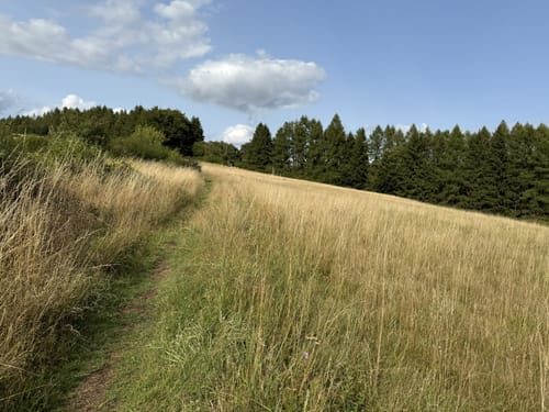 Schöpfungspfad