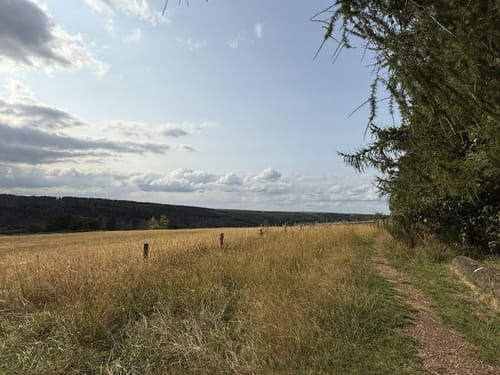 Schöpfungspfad