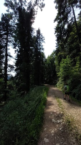Zum Unteren Fuchsfelsen im Glottertal