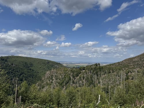 Durch das Ilsetal zur Plessenburg