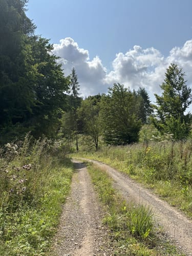 Von Bischofferode über den Eisberg
