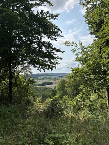 Von Bischofferode über den Eisberg