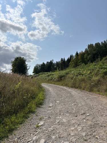 Von Bischofferode über den Eisberg