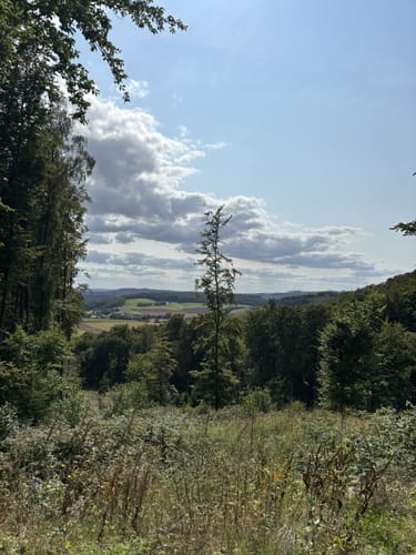 Von Bischofferode über den Eisberg