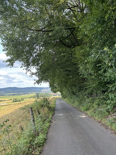 Von Bischofferode über den Eisberg