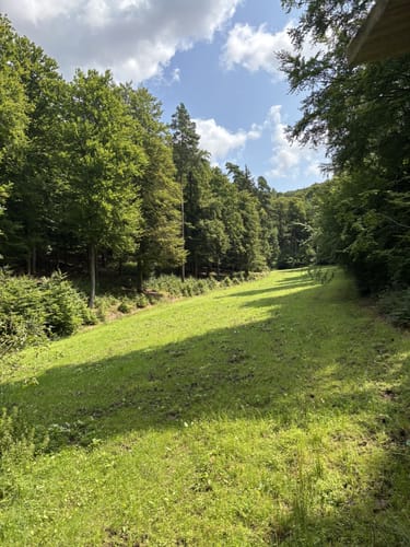 Von Bischofferode über den Eisberg