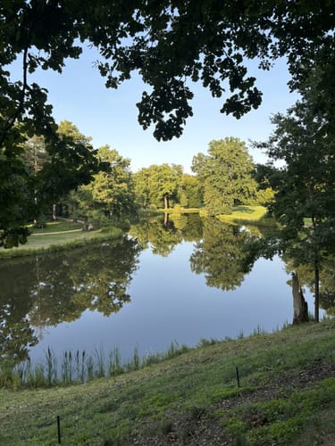 Runde durch Muskauer Schlosspark