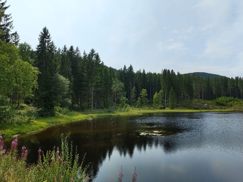 Entlang des Schluchsee von Unteraha nach Unterkrummen