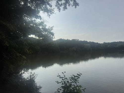 Darmstadter Wildpark-Weg