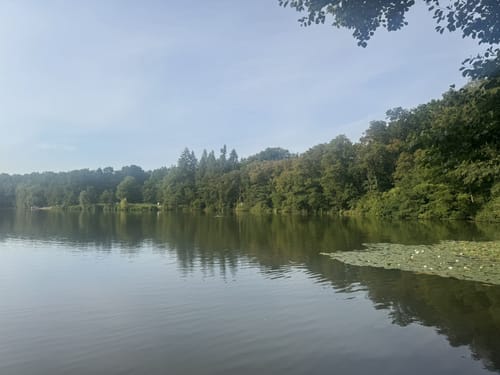 Darmstadter Wildpark-Weg