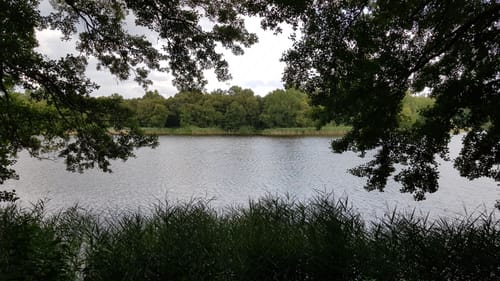 Um den Oyter See