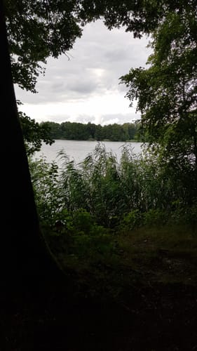 Um den Oyter See
