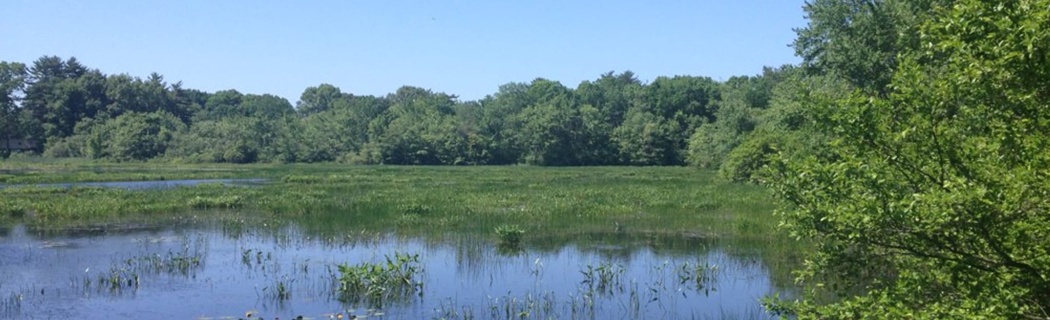 Merrill S. Whipple Conservation Area Loop, Rhode Island 296 Reviews