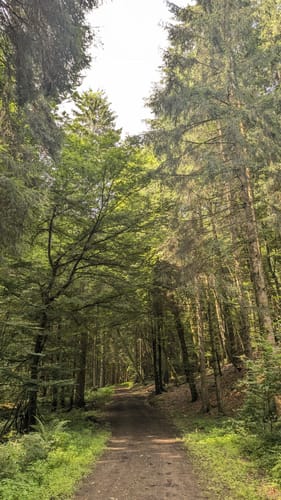 HeimatSpur Täler-und-Höhenweg