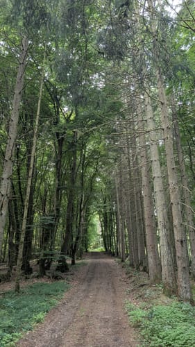 HeimatSpur Täler-und-Höhenweg
