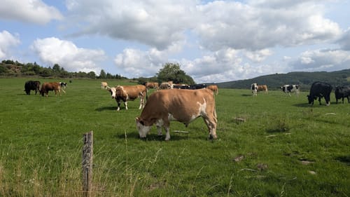 HeimatSpur Täler-und-Höhenweg