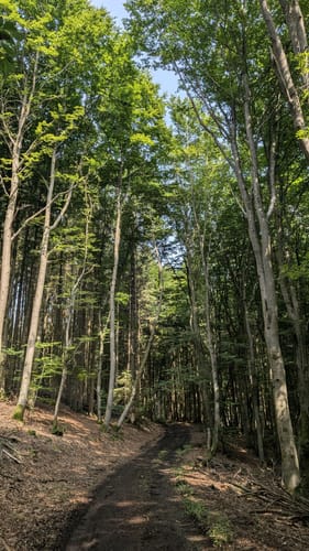 HeimatSpur Täler-und-Höhenweg