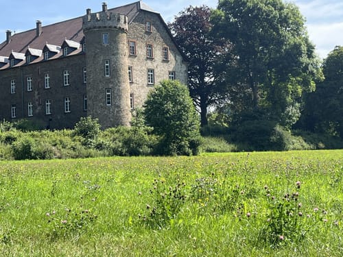Schloss Reckenberg ab Fürstenberg
