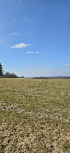 Rundwanderweg R4 (Langenhahn)