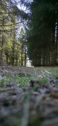 Rundwanderweg R4 (Langenhahn)
