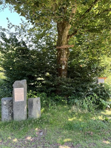 Natursteig Sieg Etappe 14: Kirchen (Sieg) - Mudersbach
