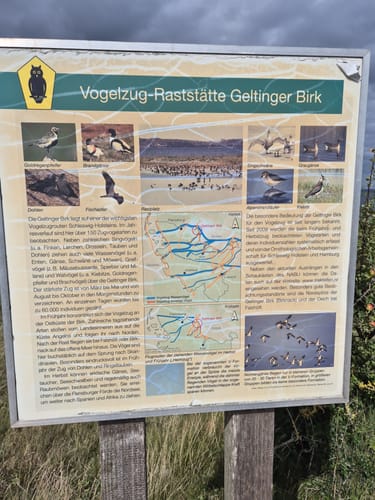 Rund um die Geltinger Birk