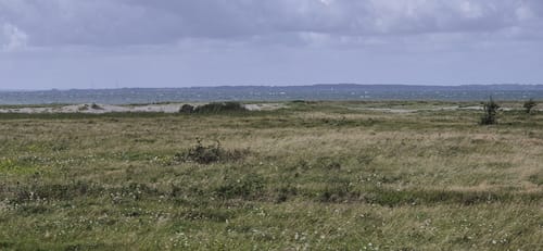 Rund um die Geltinger Birk