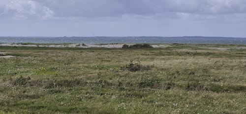 Rund um die Geltinger Birk