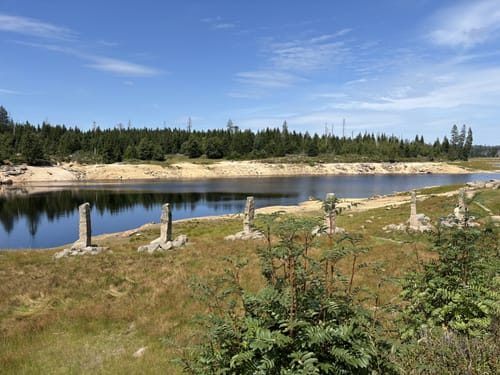 Zum Oderteich ab Oderbrück