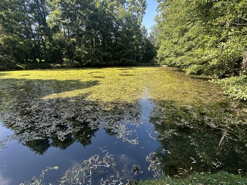 Besinnungspfad Bad Rappenau