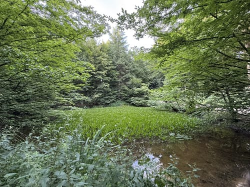 O 01 Keilberg - Silberweiher (Rotes Dreieck)