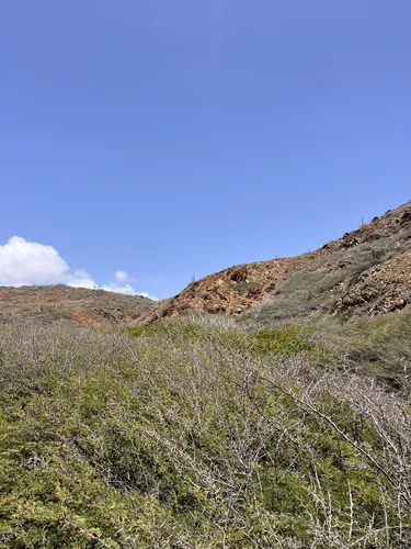ARIKOKページ Aruba Arikok National Park Jeep Tour 2025 - BOOK NOW