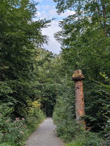 Keltenrundwanderweg