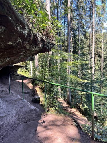 Wasser-, Wald- und Wiesenpfad (Premiumwanderweg)