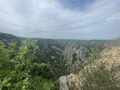 Stecklenberg - Hexe - Thale