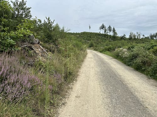 Schlingenbachtal A6