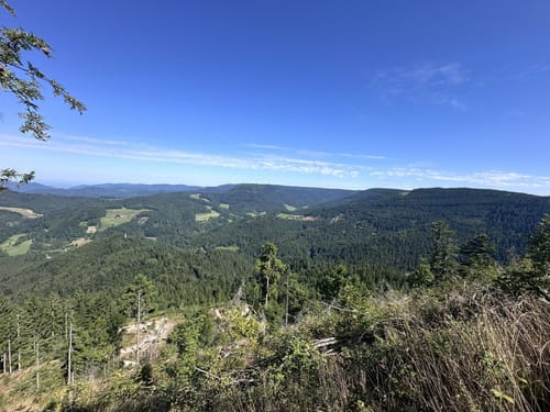 Glaswaldsee - Teufelskanzel - Südliche Griesbacher Wasserfälle
