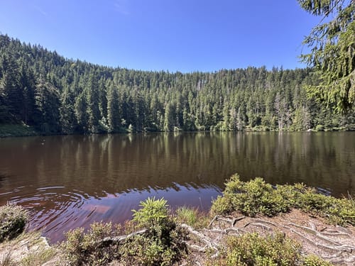 Glaswaldsee - Teufelskanzel - Südliche Griesbacher Wasserfälle