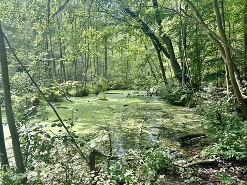 Müggelsee Rundweg