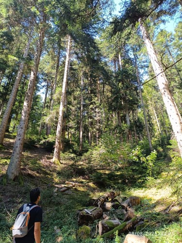 Panoramawanderung in Oberharmersbach