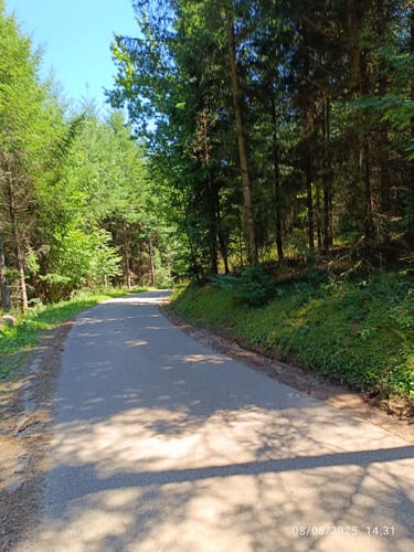 Panoramawanderung in Oberharmersbach