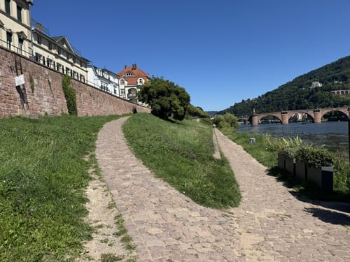 Stadtwanderung: Altstadt, Schloss, Philosophenweg