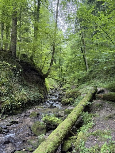 Murrhardt und Hörschbachwasserfälle Rundweg