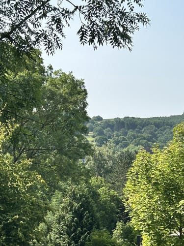 Stadtspaziergang Gemünd